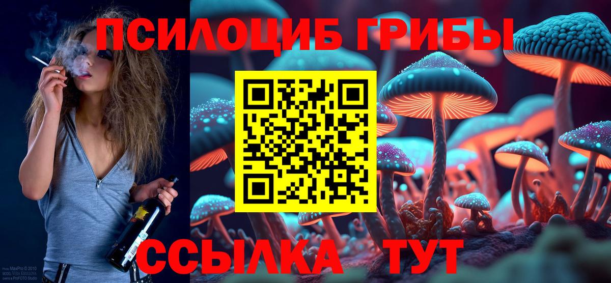Галлюциногенные грибы прущие грибы  где купить наркотик  Асбест  Вход с VPN 