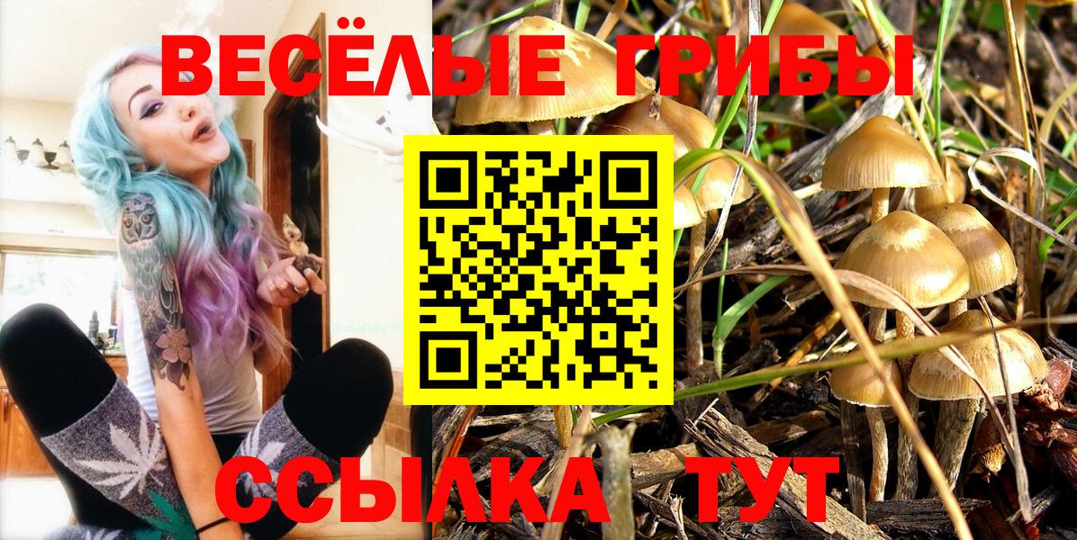 Псилоцибиновые грибы мухоморы Асбест